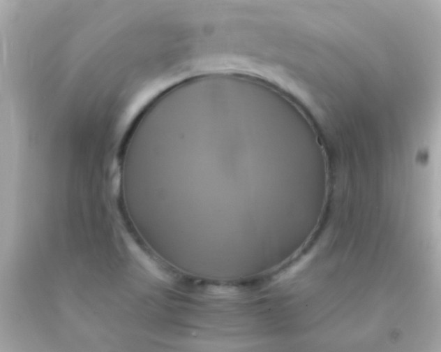 X0000091501509200709061912