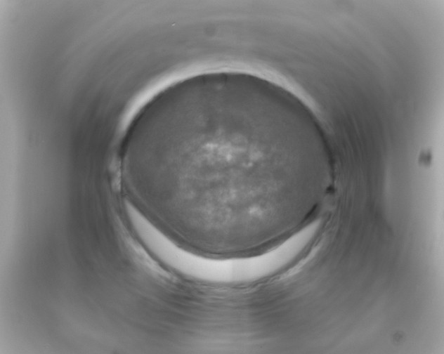 X0000091501510200709061912