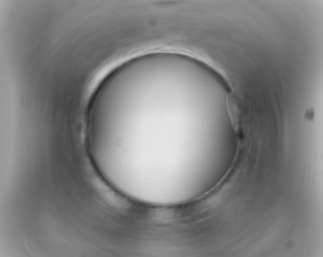 X0000091501511200709061912