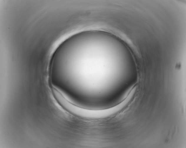 X0000091501512200709061912