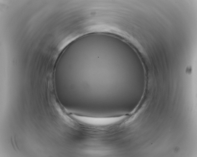 X0000091501513200709061912