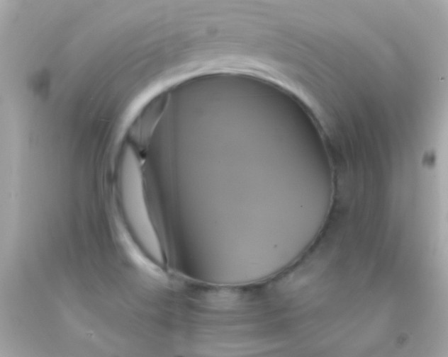 X0000091501515200709061912