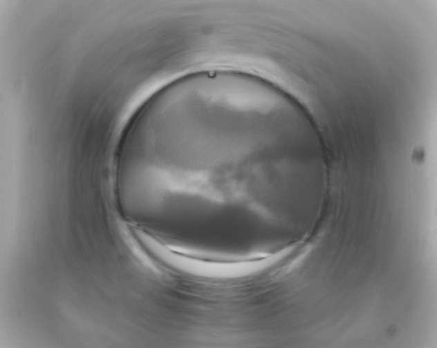 X0000091501517200709061912