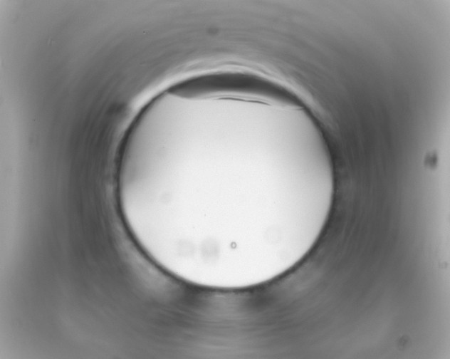 X0000091501518200709061912