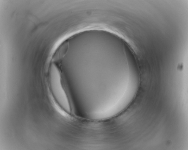 X0000091501519200709061912