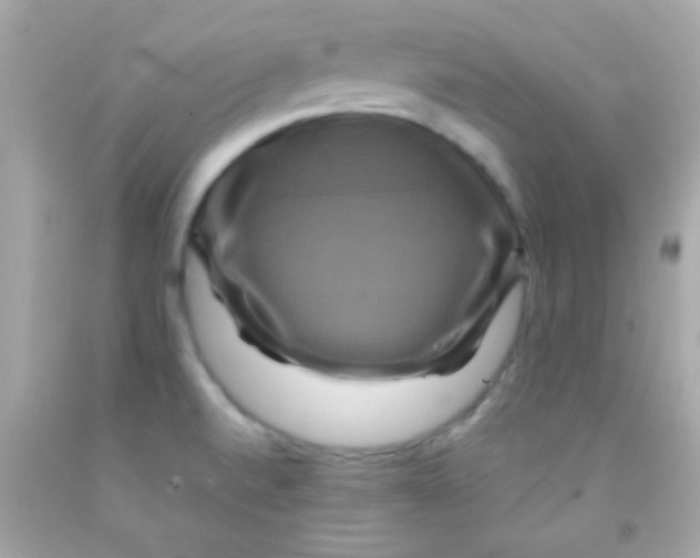 X0000091501520200709061912