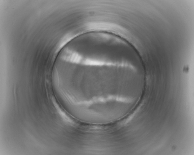 X0000091501521200709061912