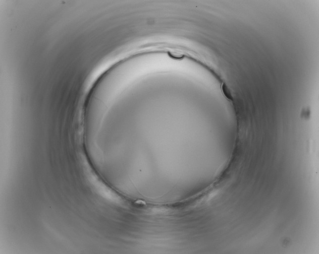 X0000091501522200709061912