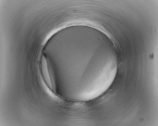 X0000091501523200709061912