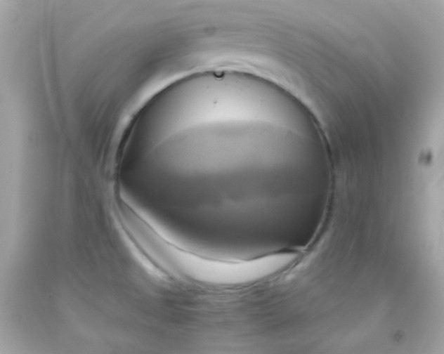 X0000091501525200709061912