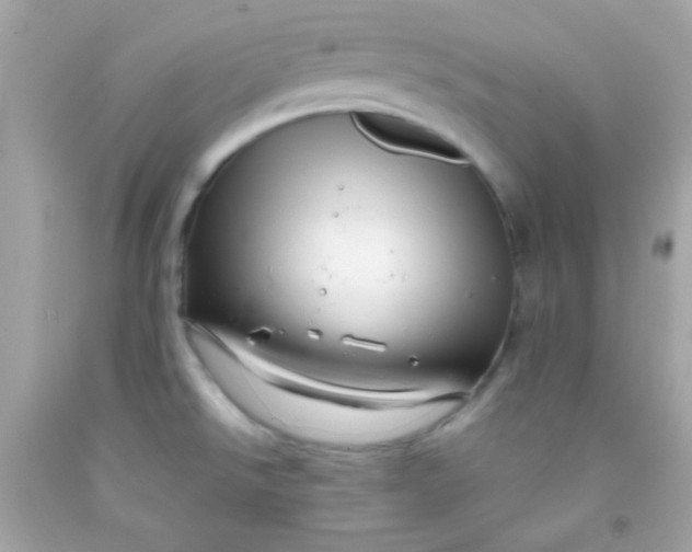 X0000091501526200709061912