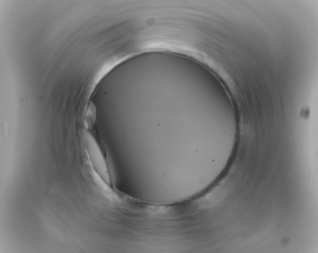 X0000091501529200709061912