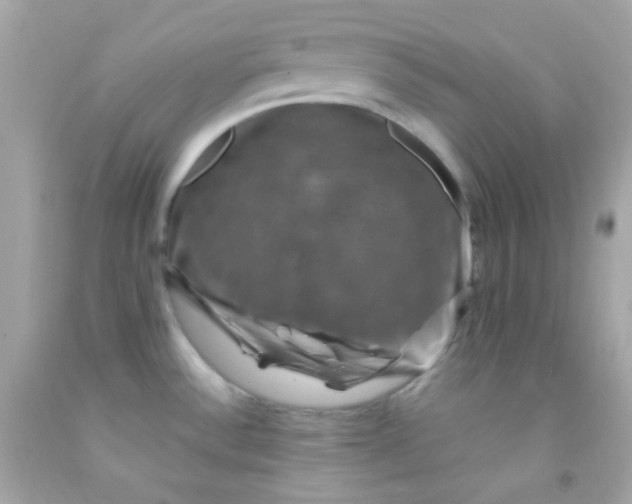 X0000091501532200709061912