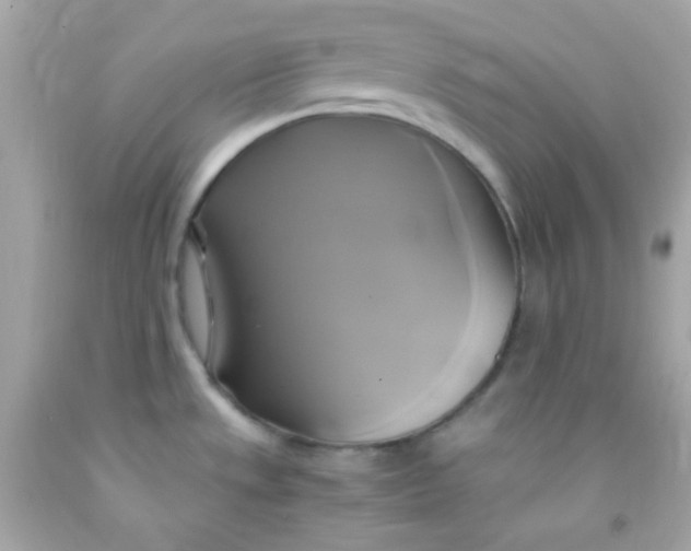 X0000091501533200709061912