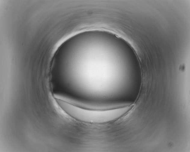 X0000091501534200709061912