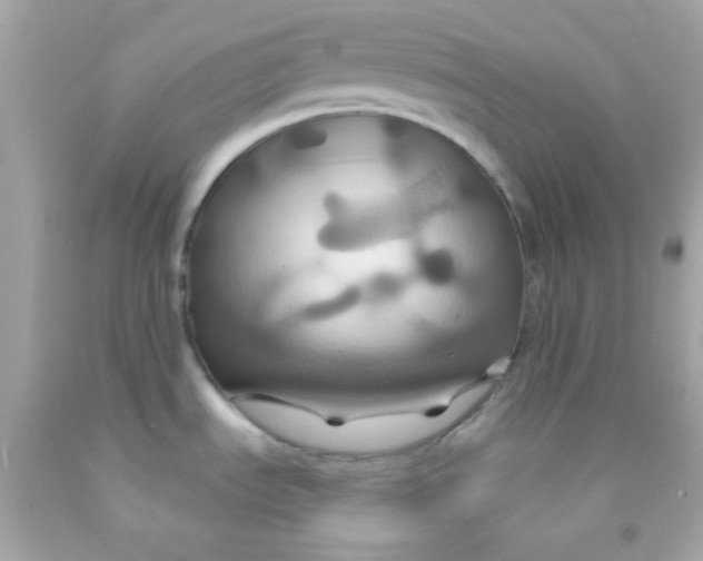 X0000091501535200709061912