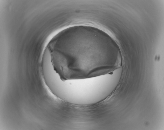 X0000091501536200709061912