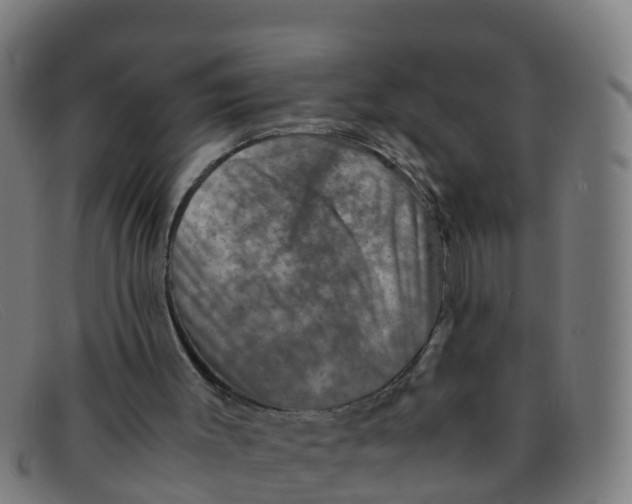 X0000091500003200709131859