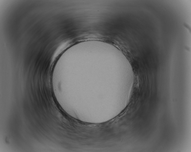 X0000091500004200709131859