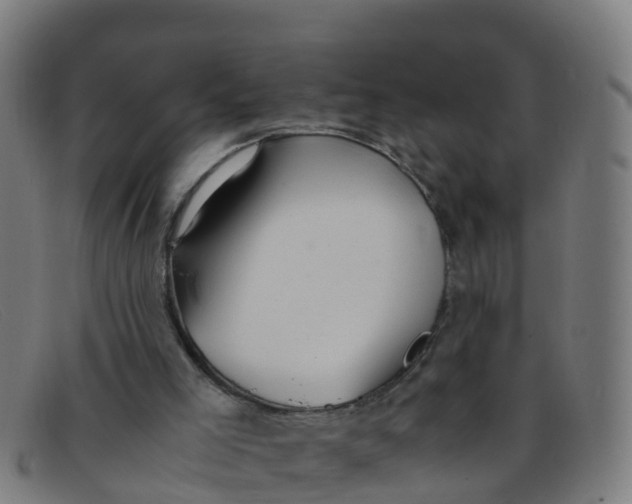 X0000091500005200709131859