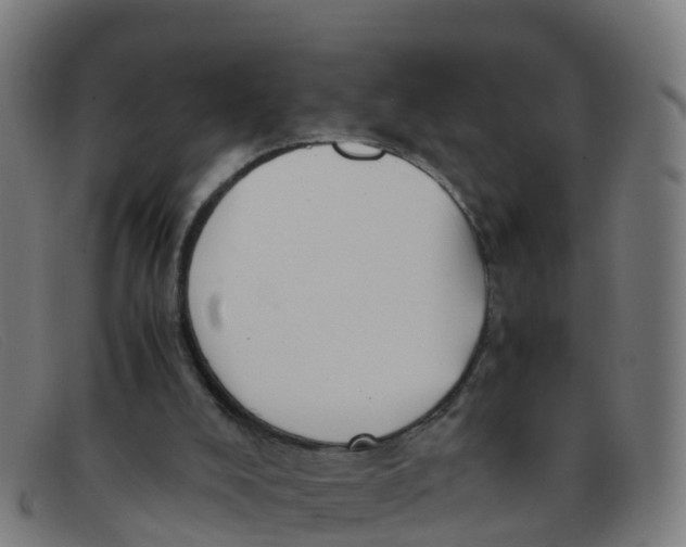 X0000091500008200709131859