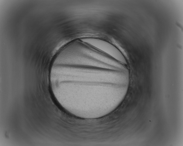 X0000091500011200709131859