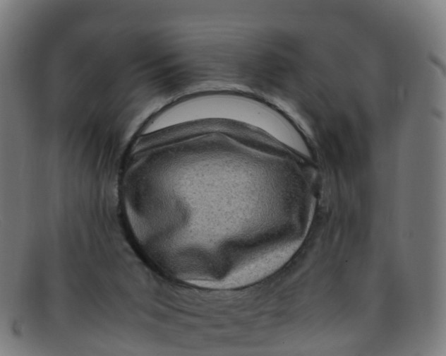 X0000091500015200709131859