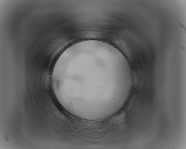 X0000091500016200709131859