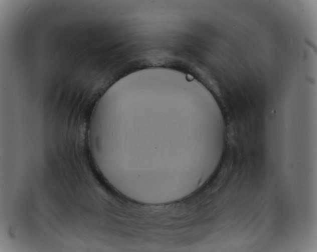 X0000091500018200709131859