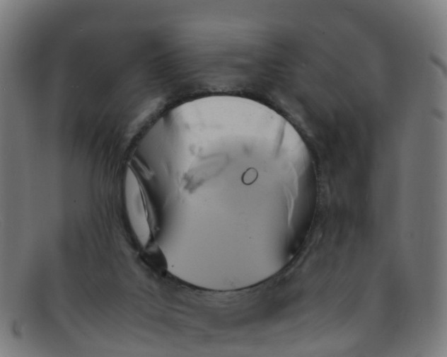 X0000091500019200709131859