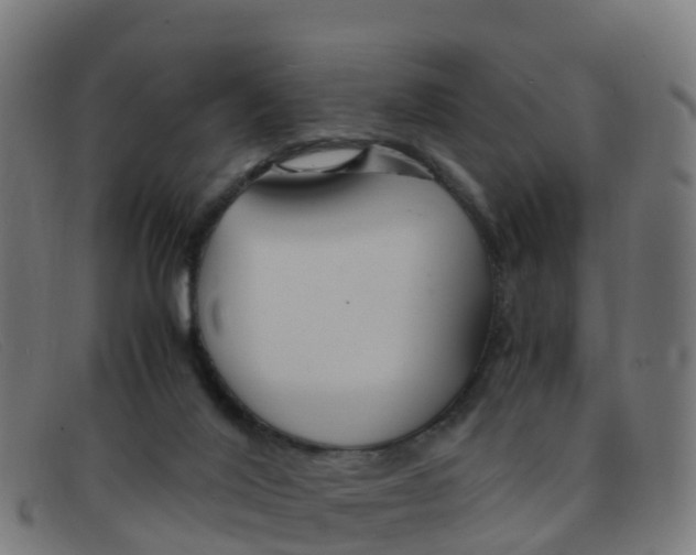 X0000091500020200709131859