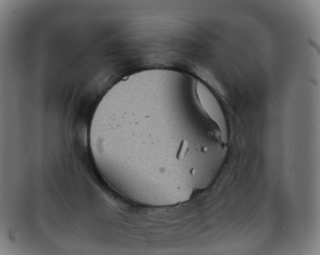 X0000091500021200709131859