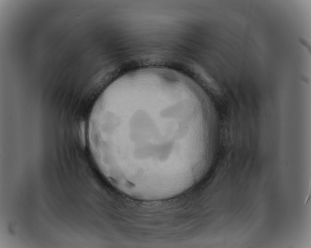 X0000091500022200709131859