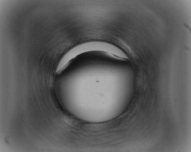 X0000091500025200709131859