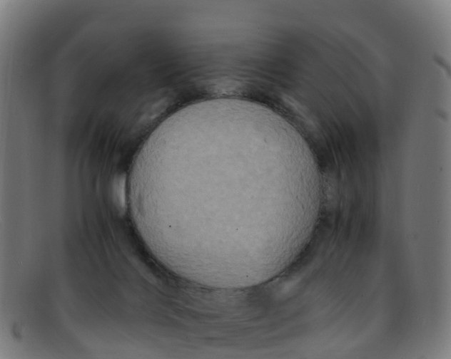 X0000091500028200709131859