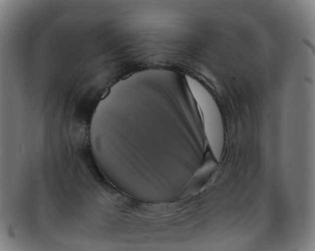 X0000091500029200709131859