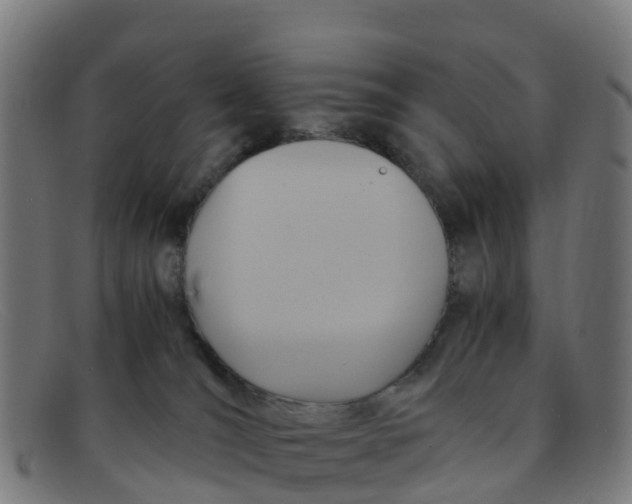 X0000091500036200709131859