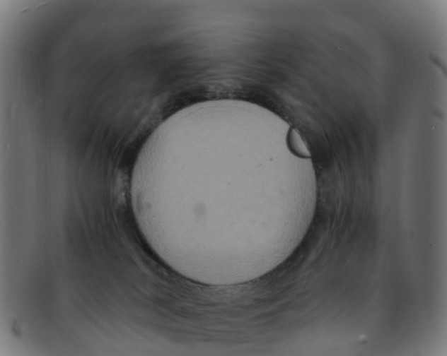 X0000091500038200709131859