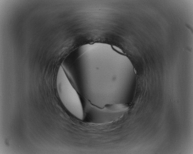 X0000091500039200709131859