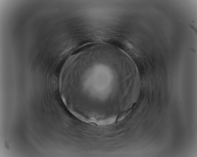 X0000091500043200709131859