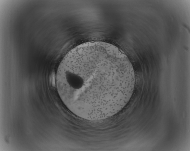 X0000091500046200709131859