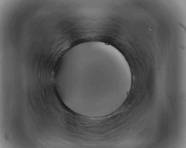 X0000091500048200709131859