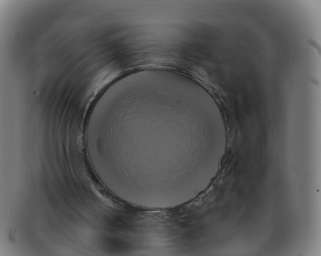 X0000091500050200709131858