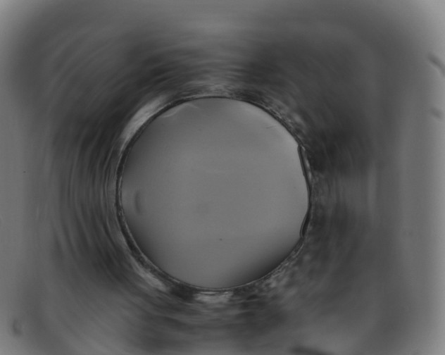 X0000091500051200709131858