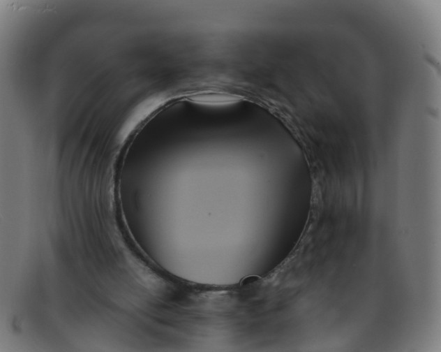 X0000091500054200709131858