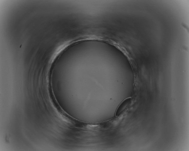 X0000091500055200709131858