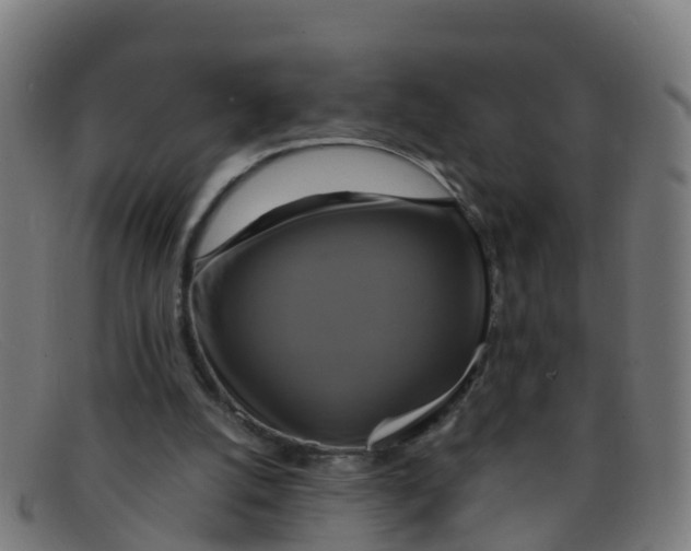 X0000091500056200709131858