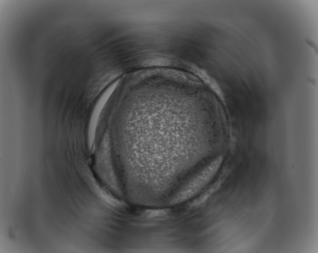 X0000091500057200709131858