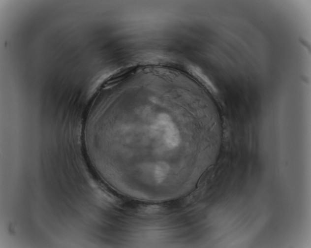 X0000091500058200709131858