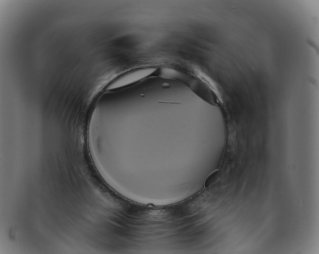 X0000091500059200709131858